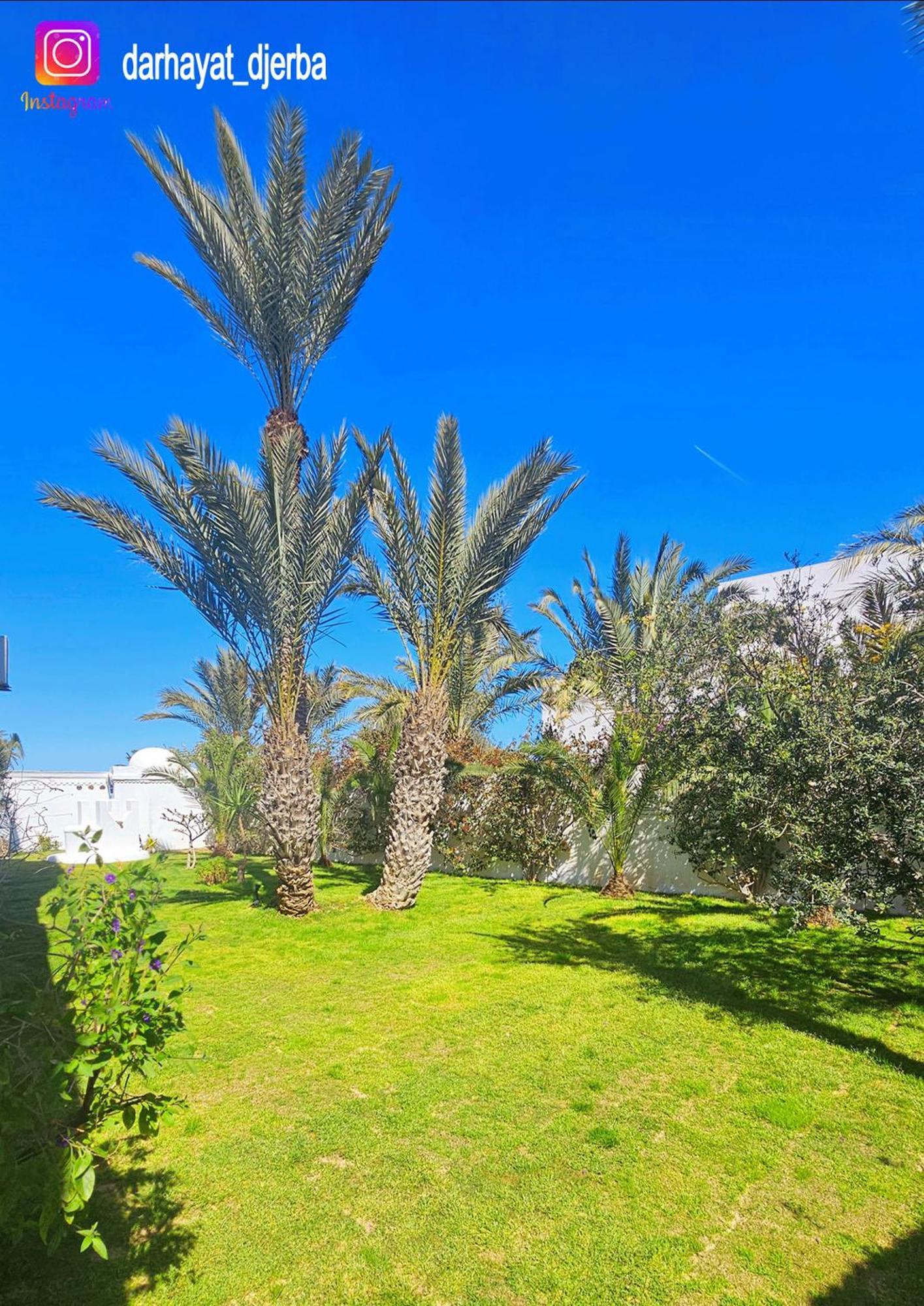 Dar Hayat Villa Triffa Dış mekan fotoğraf
